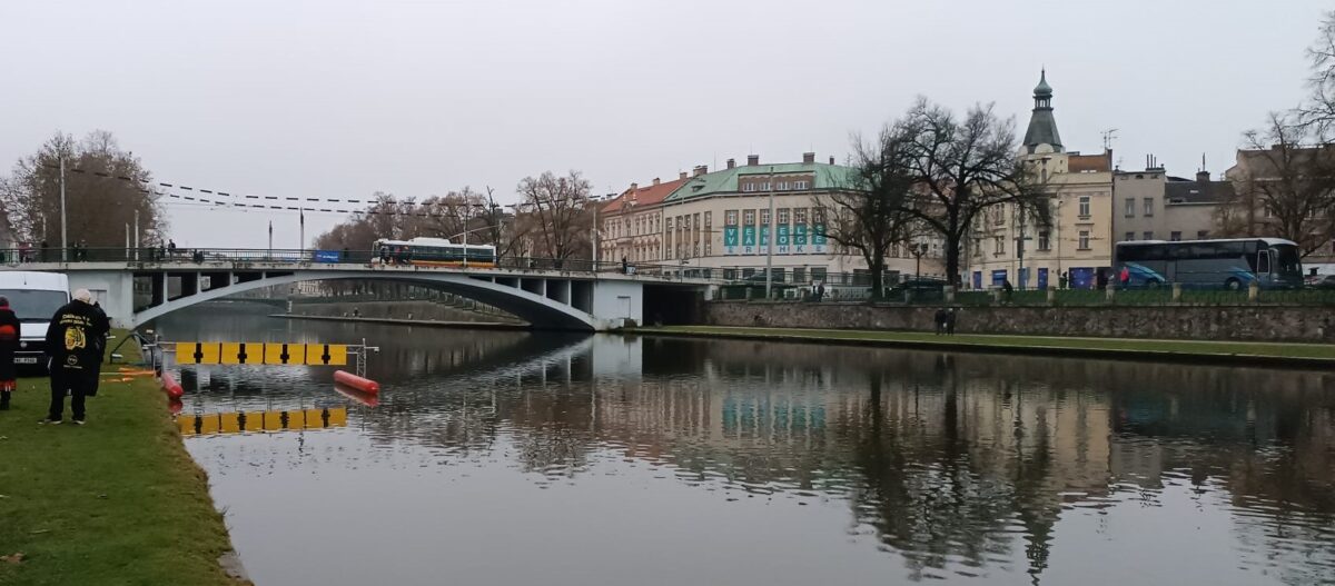 Labská plavecká četa 