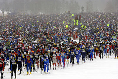 Moje účast na Vasově běhu 2014